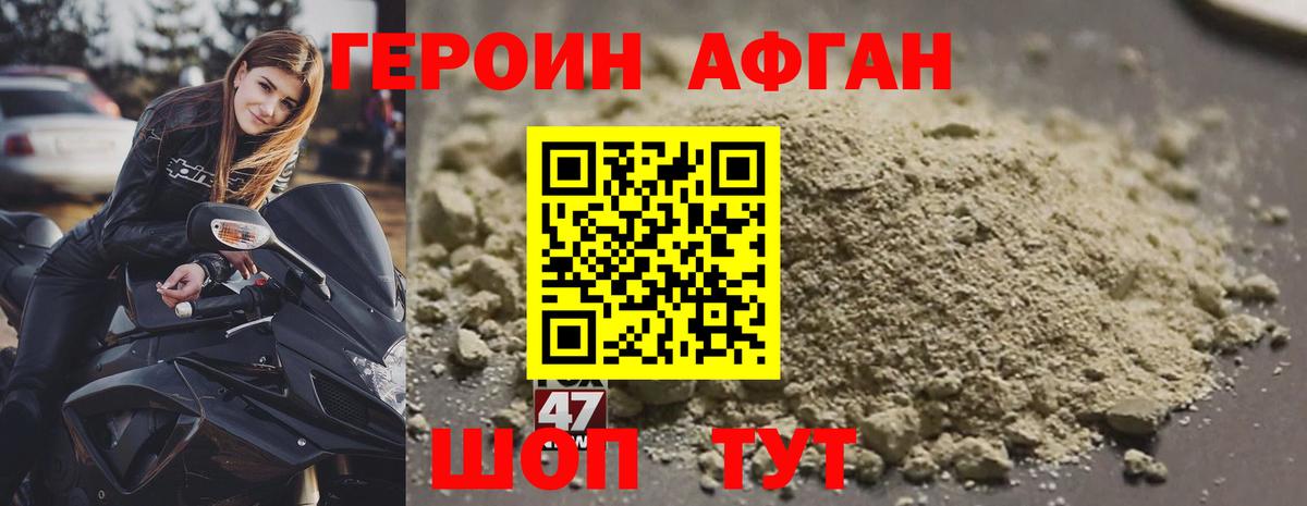 ГЕРОИН хмурый Десногорск