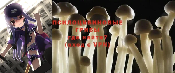 соль ск Алзамай