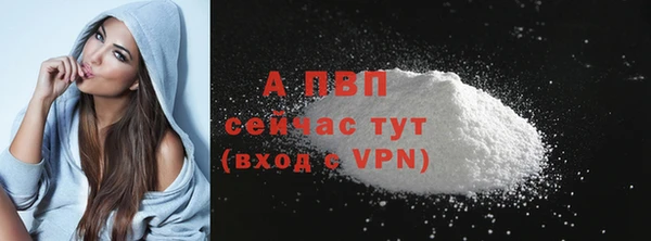 соль ск Алзамай