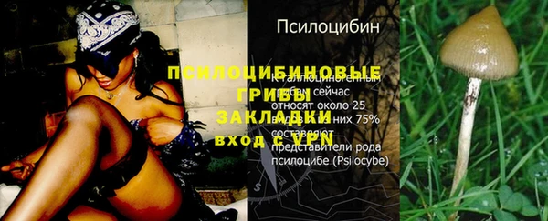 спайс Алексеевка