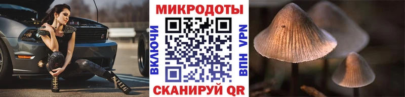 Галлюциногенные грибы Magic Shrooms  блэк спрут онион  Десногорск 